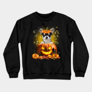 Black Chihuahua Spooky Halloween Pumpkin Dog Head Crewneck Sweatshirt